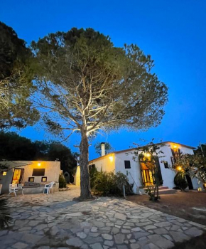 Beachfront Cottage House With Sea View In Thimari Sounio